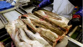 Коронавирус впервые обнаружили на упаковке замороженных продуктов