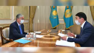 Токаев принял министра экологии