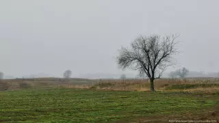 Метель и туман ожидаются в 8 областях Казахстана