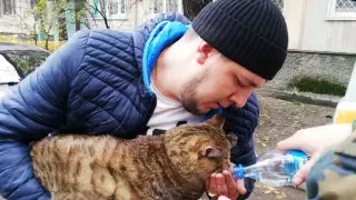 Шесть человек и кота спасли пожарные в Усть-Каменогорске