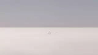 Туман и сильный ветер: шторм ожидается в 6 областях Казахстана