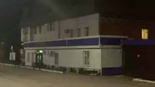 Полицейские застрелили напавшего на них с ножом подростка в России