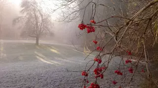 Какая погода ожидает казахстанцев 1 ноября