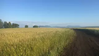 Фермеры Казахстана теперь следят за полями из космоса