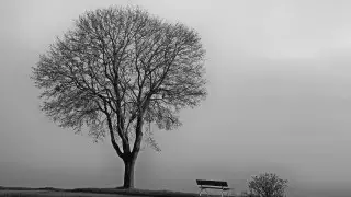 Как антициклон из Европы отразится на погоде в Казахстане