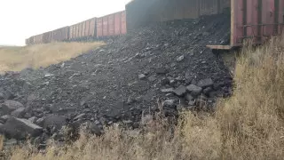 8 вагонов сошли с рельсов в Карагандинской области