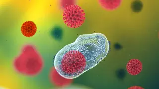 Может ли холод убить коронавирус, рассказали эксперты