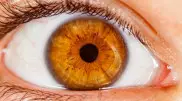 Роговица глаз может сдерживать коронавирус - исследование