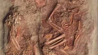 Останки самых древних близнецов найдены в Австрии