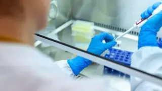 Медики Усть-Каменогорска готовы выполнять 1800 тестов ПЦР в сутки