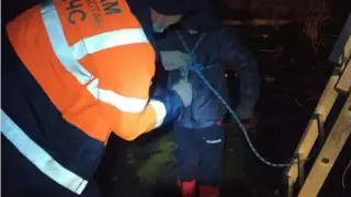 Мальчика сняли с крыши заброшенной двухэтажки в ВКО