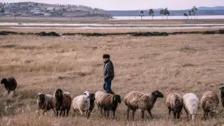 58-летнего иностранца держали в рабстве в Актюбинской области