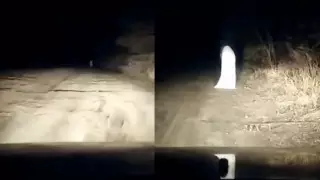 Полицейские доложили о первых шагах в поиске призрака