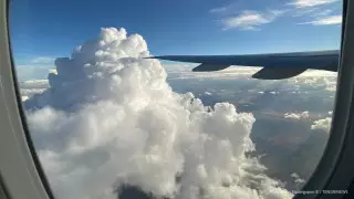 Врач спас пассажира в самолете Алматы - Актау