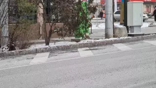 Белый налет на дорогах объяснили в акимате Алматы