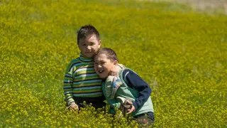 Токаев: Мы обязаны прислушаться к голосу каждого ребенка