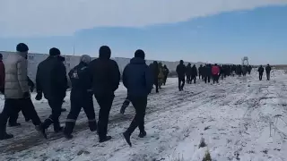 Cкандал вокруг свинофермы прокомментировал аким Актюбинской области