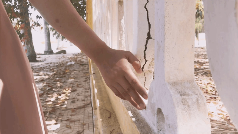 Анимация: pixabay.com