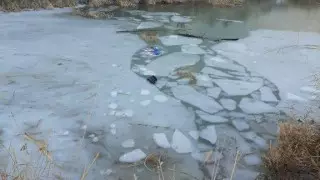 Дети провалились под лед в Жамбылской области