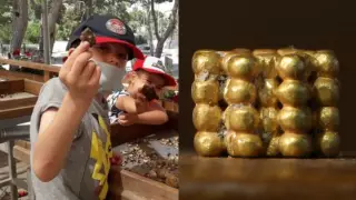 Мальчик нашел артефакт, созданный 3000 лет назад в Иерусалиме