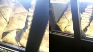 Бегающую по самсе крысу сняли на видео в Алматы