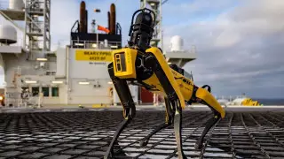 Hyundai планирует выкупить Boston Dynamics - СМИ