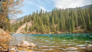 Какие важные законопроекты готовит Министерство экологии Казахстана