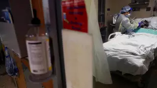 В США от коронавируса умерло больше людей, чем во Второй мировой