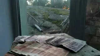 Клад с советскими деньгами найден на безлюдном острове Финского залива