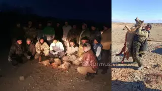 Огромного волка застрелили на востоке Кыргызстана