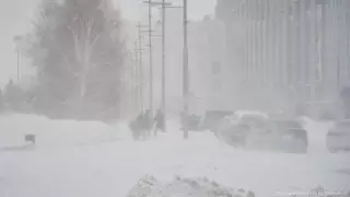 В 8 регионах Казахстана ожидаются туман и низовая метель