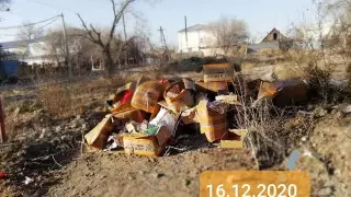 Почтовая посылка выдала нарушительницу в Атырау