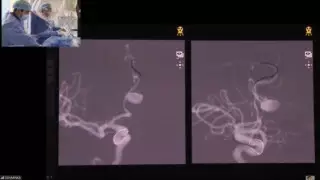 На базе Совминки прошел международный нейрокурс