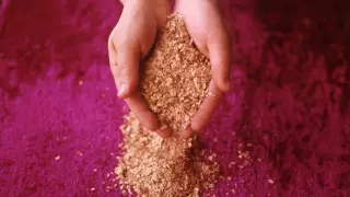 Крупное месторождение золота обнаружили в Турции