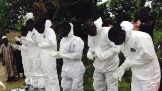 Новый штамм коронавируса обнаружили в Нигерии