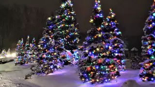 Несколько волн холода ожидаются в Казахстане в январе