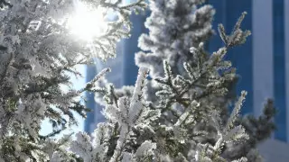 До -43 градусов. Какой будет погода в Казахстане на Новый год