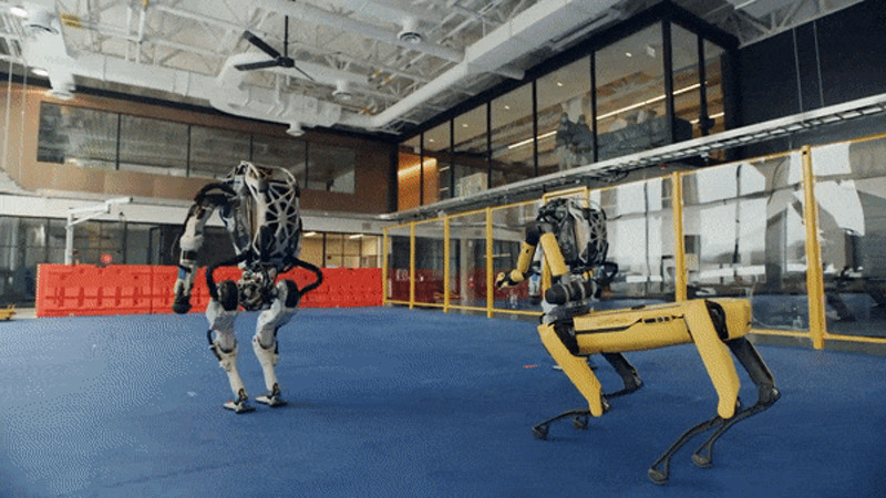 Кадры из видео