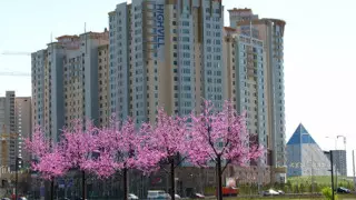 На время саммита ОБСЕ жителям Астаны выдадут спецпропуска