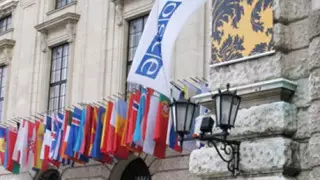 ОБСЕ профинансирует программу борьбы с торговлей детьми