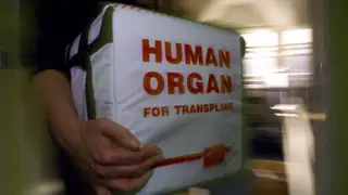 Премьера Косово Хашима Тачи обвинили в торговле органами