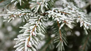 Какая погода ожидает казахстанцев 2 января