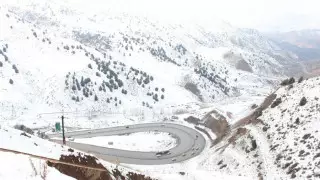 Семья замминистра Узбекистана погибла в ДТП: машина упала с обрыва