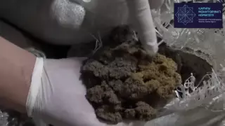 Организаторов транснациональной ОПГ осудили в Алматы