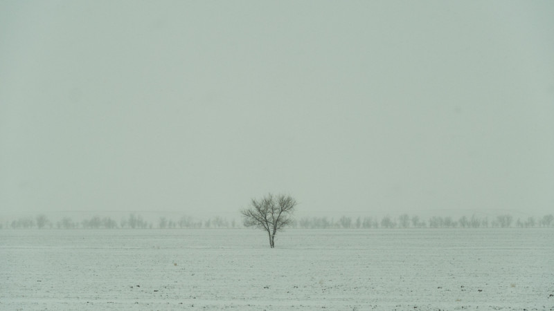 Фото Tengrinews.kz/Турар Казангапов