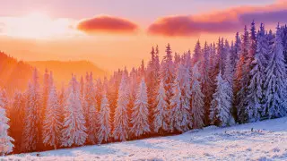 Сильный мороз ожидается в Казахстане