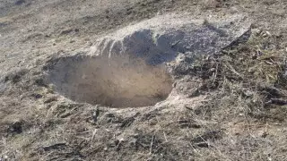 Влюбленную пару изнасиловали и убили родственники невесты