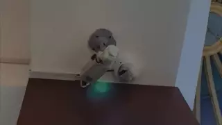 Почему заклеили камеры на избирательном участке в Нур-Султане - ответ Генпрокуратуры