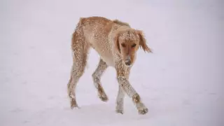 В Нур-Султане и 12 областях объявили штормовое предупреждение