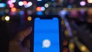 Основатель Twitter "признался в любви" мессенджеру Signal